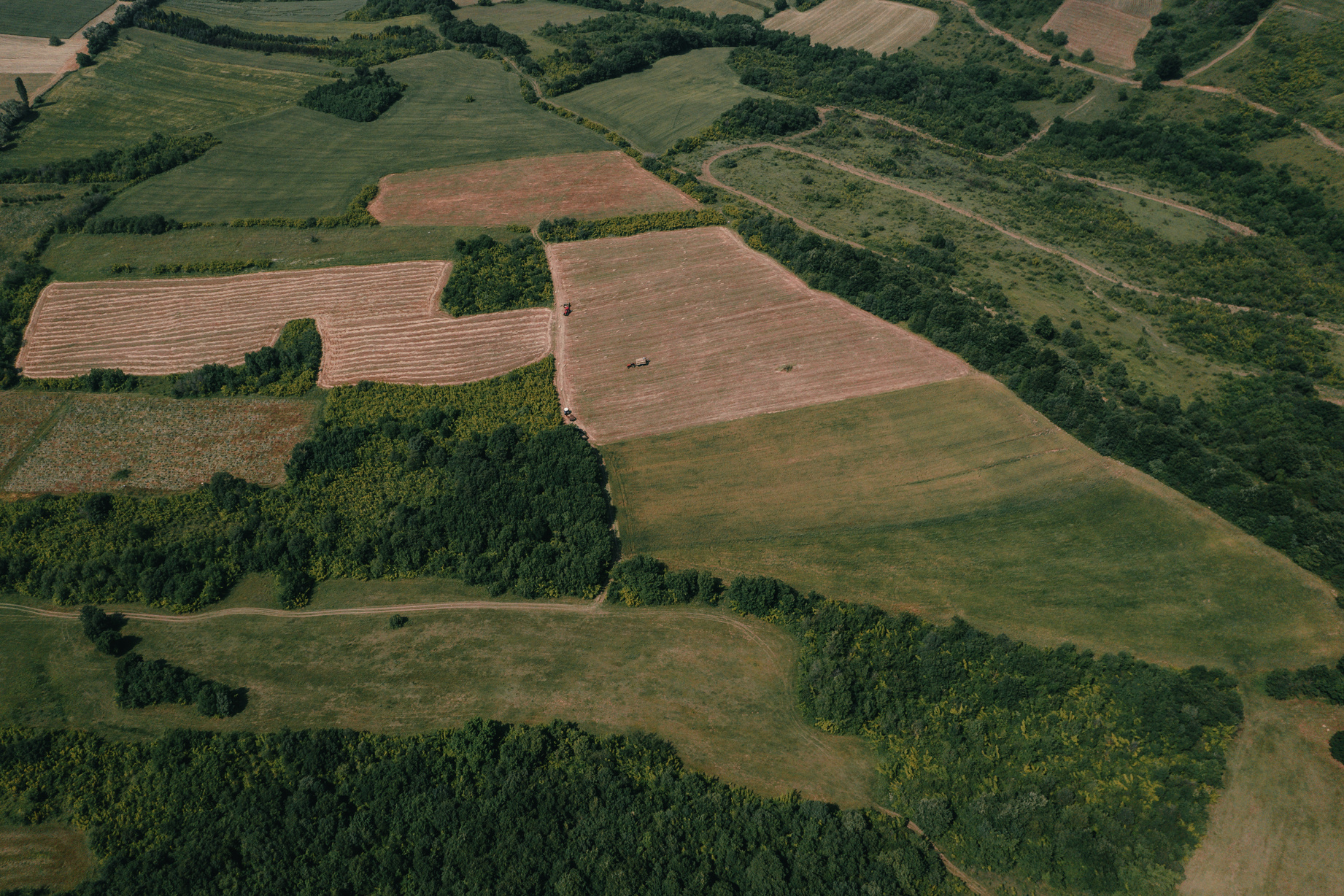 Aerial View of the Field